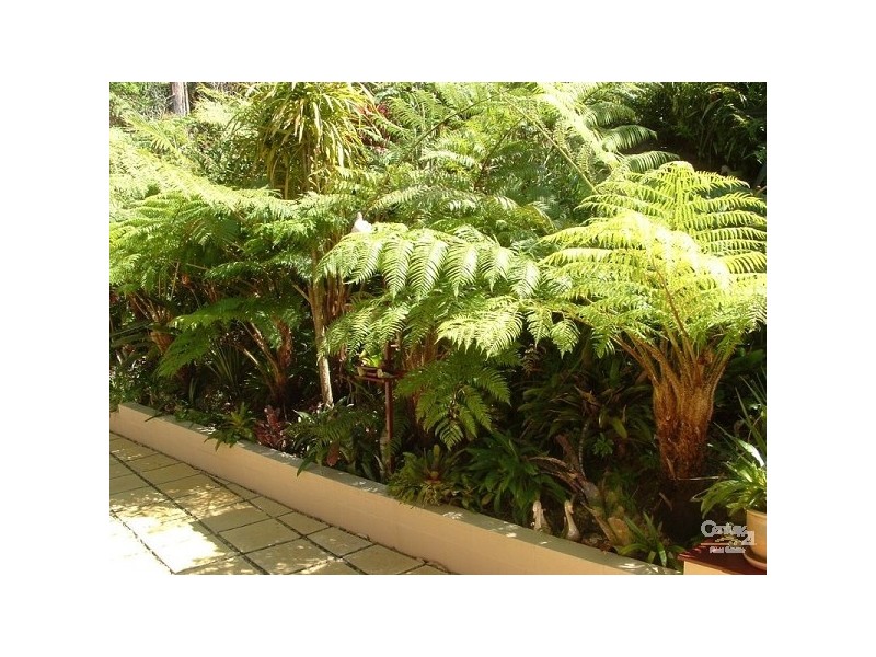 13 Eagles Retreat Place, Tamborine Mountain QLD 4272