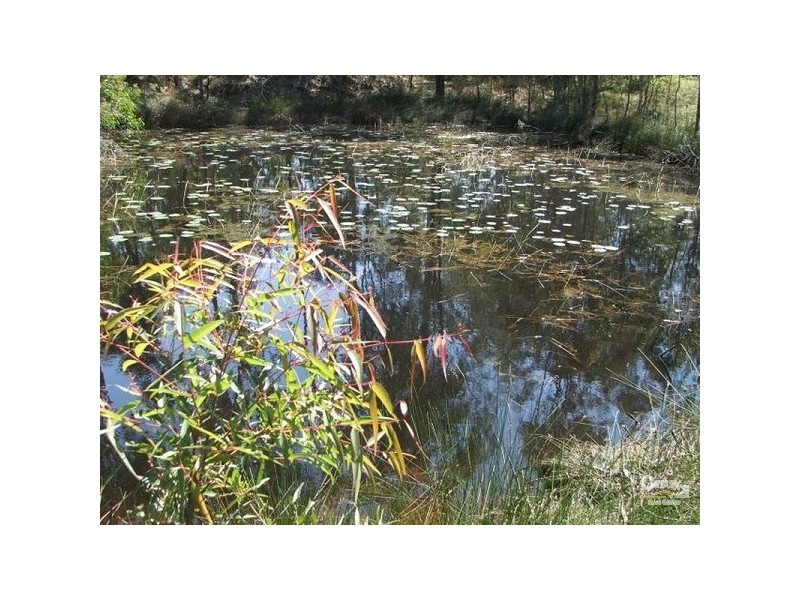 38 Alfred Rd, Stockleigh QLD 4280