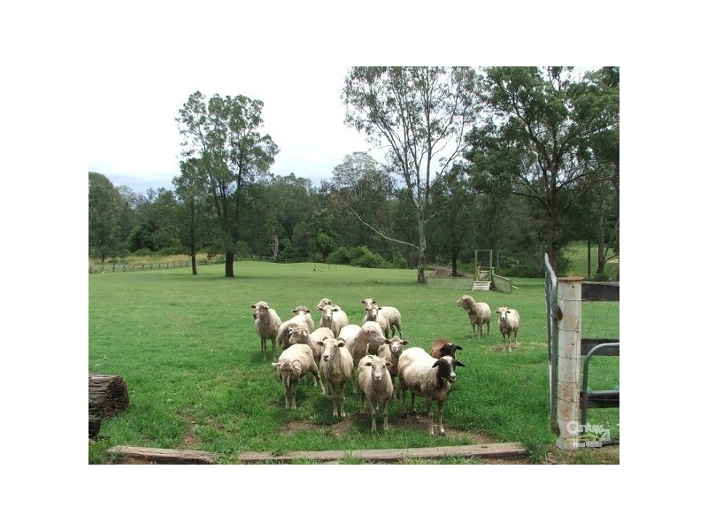 77 Wendt Road, Chambers Flat QLD 4133