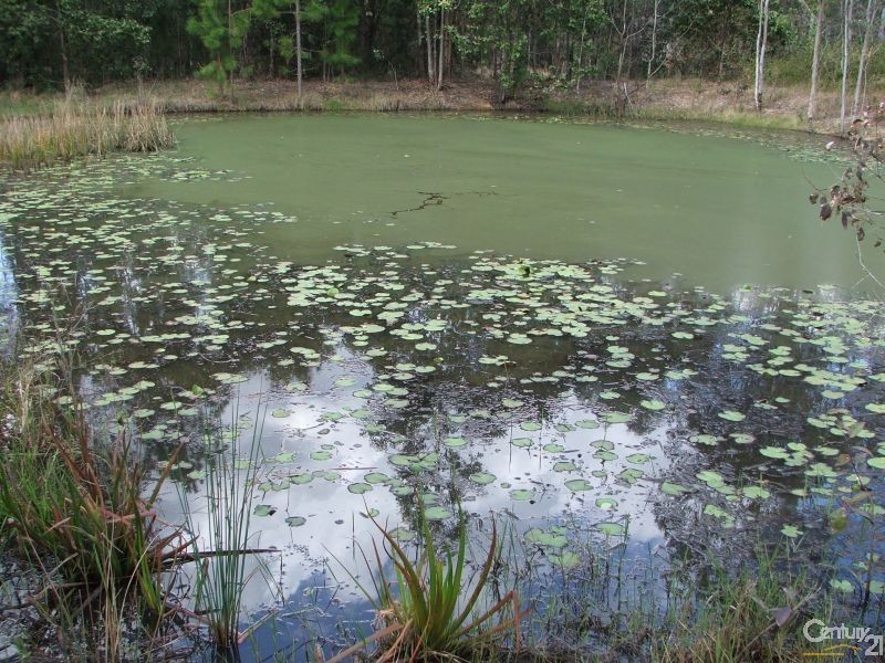 53 Frond Road, Tamborine QLD 4270