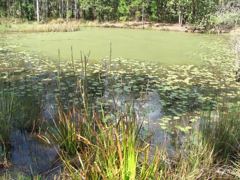 53 Frond Road, Tamborine QLD 4270