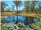 258 Miller Road, Logan Village QLD 4207