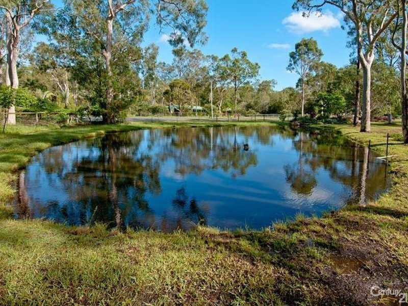 3 Ellen Court, Logan Village QLD 4207