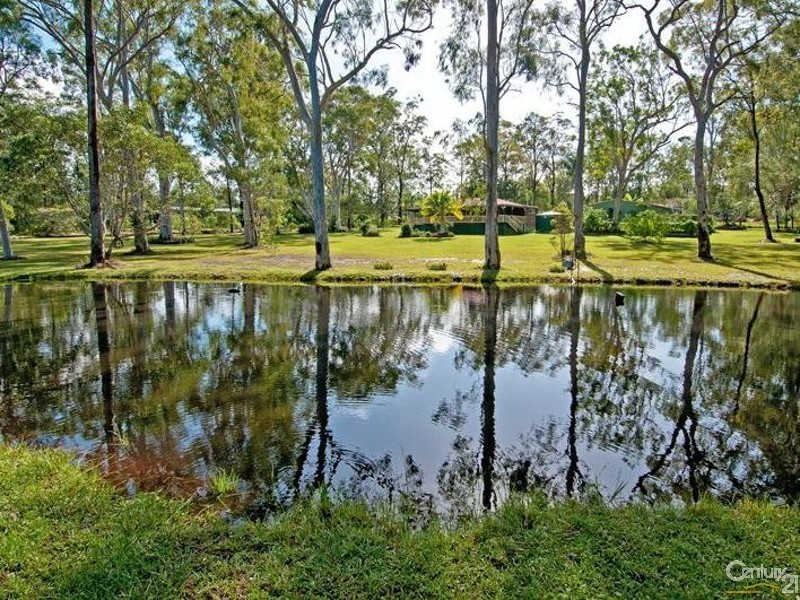 3 Ellen Court, Logan Village QLD 4207