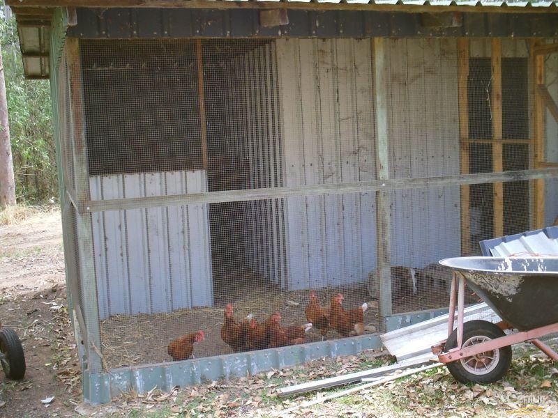 331 Clifton Drive, North Maclean QLD 4280