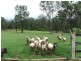 77 Wendt Road, Chambers Flat QLD 4133