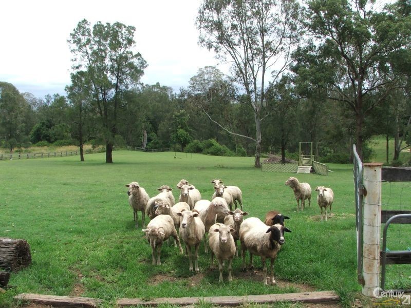 77 Wendt Road, Chambers Flat QLD 4133