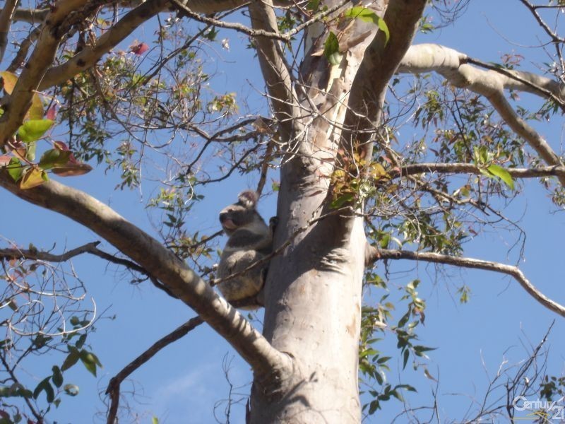 1028/2-28 Yulgibar Close, Kooralbyn QLD 4285