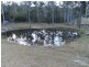 117 Pendennis Road, Tamborine QLD 4270