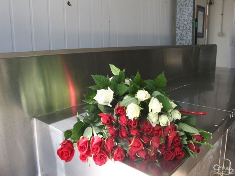 182 Campbell Drive, Kooralbyn QLD 4285