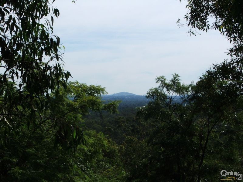 50 Berzins Court, Bahrs Scrub QLD 4207