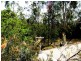 Kooralbyn QLD 4285