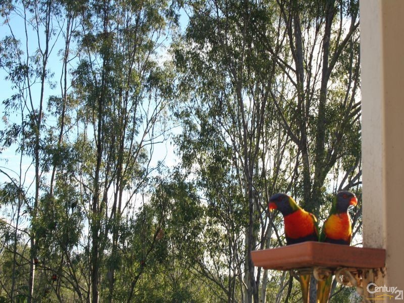 Kooralbyn QLD 4285