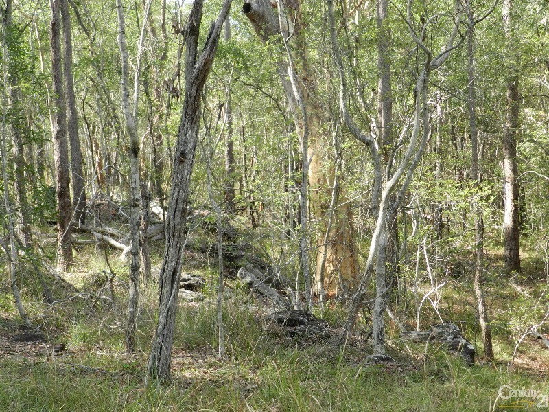 147 Steele Road, Logan Village QLD 4207