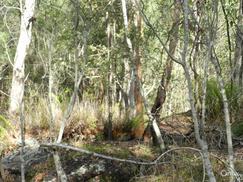 147 Steele Road, Logan Village QLD 4207