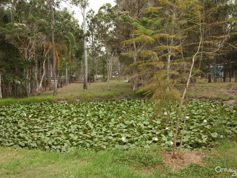 37 Maloo Court, Logan Village QLD 4207