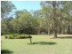 83 Hotz Road, Logan Village QLD 4207