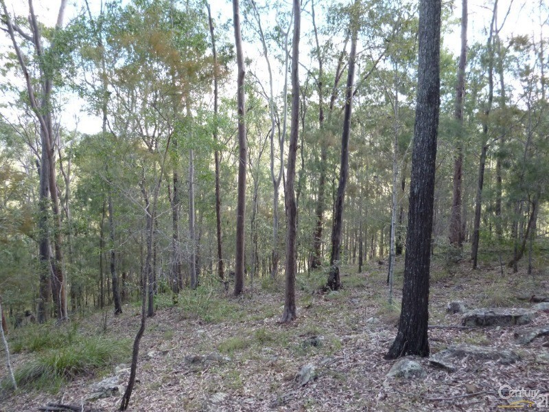 29 Currawong Ct, Tamborine QLD 4270