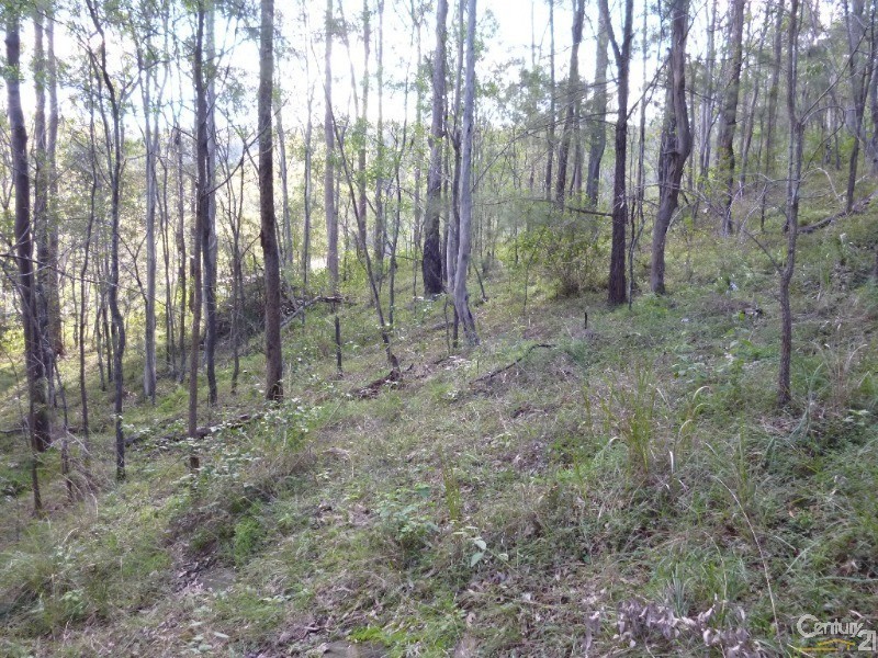 29 Currawong Ct, Tamborine QLD 4270