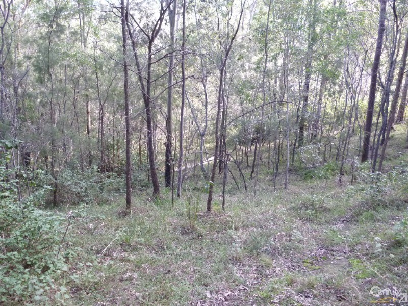 29 Currawong Ct, Tamborine QLD 4270