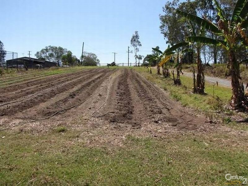 107 Clydesdale Road, Jimboomba QLD 4280