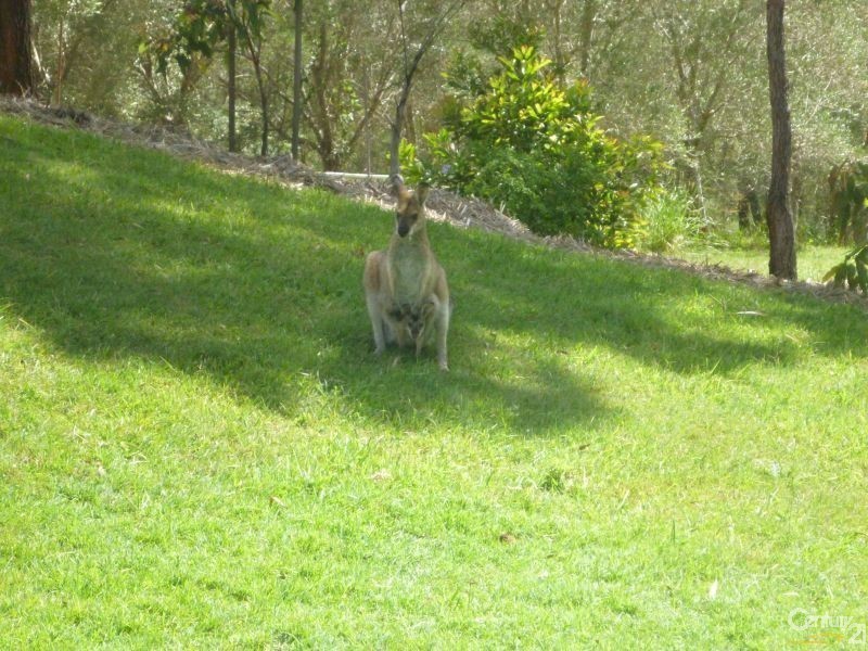 45 Brooks Drive, Kooralbyn QLD 4285