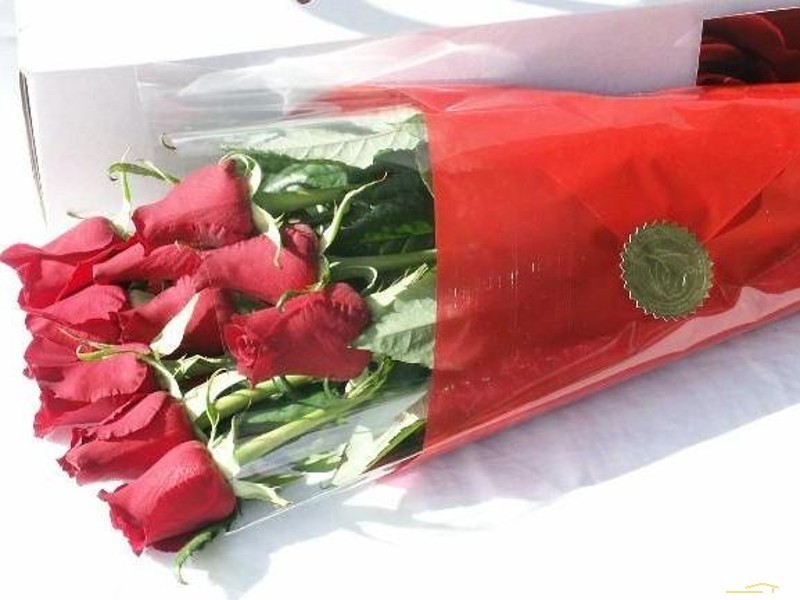 179 Campbell Drive, Kooralbyn QLD 4285