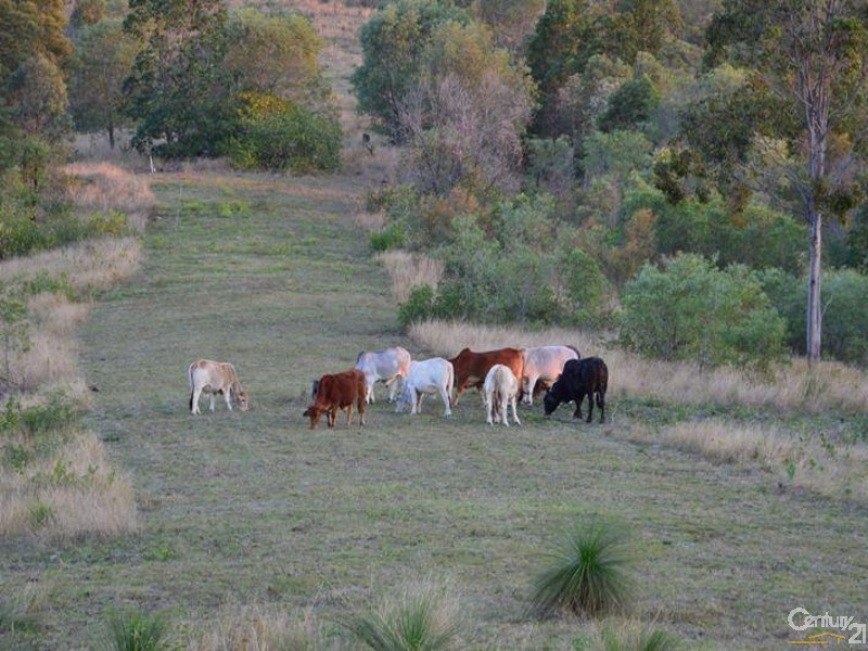 50 Merton Close, Kooralbyn QLD 4285