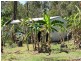 107 Clydesdale Road, Jimboomba QLD 4280
