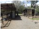 60 Coplick Crescent, Buccan QLD 4207
