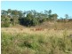 10548 Mt Lindesay Hwy, Rathdowney QLD 4287