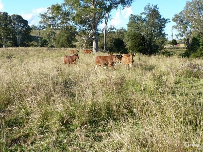 10548 Mt Lindesay Hwy, Rathdowney QLD 4287