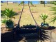 141-143 Walker Drive, Kooralbyn QLD 4285