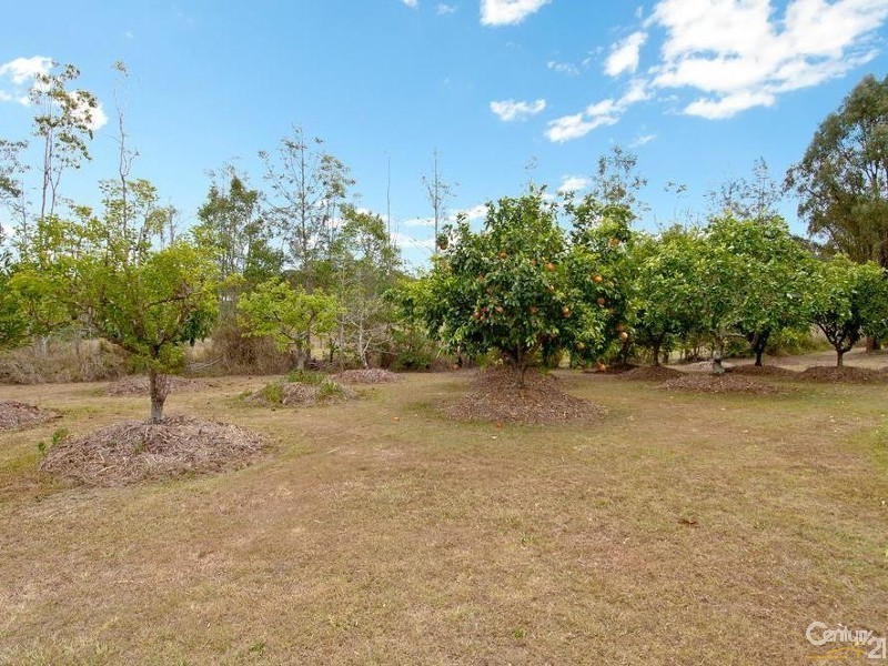 1384 Chambers Flat Road, Chambers Flat QLD 4133