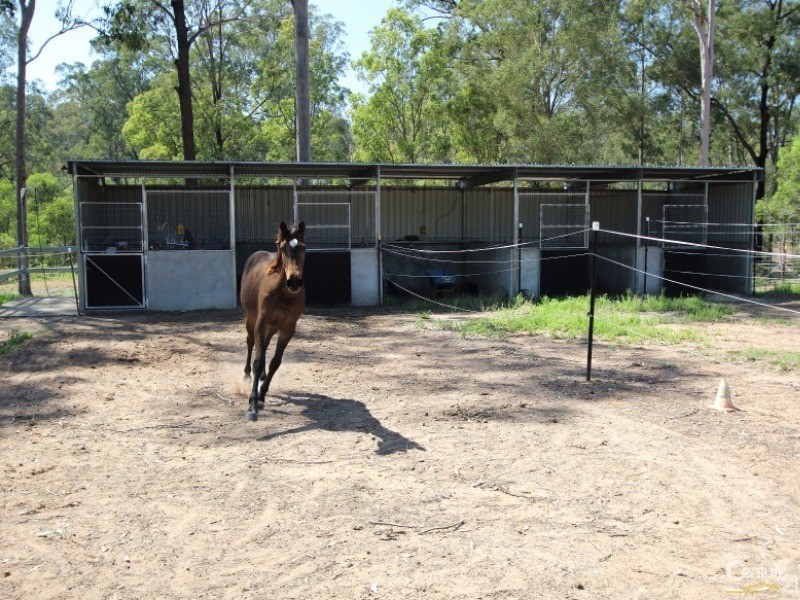 159-167 Leopardwood Road, Cedar Grove QLD 4285