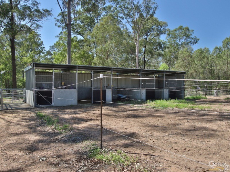 159-167 Leopardwood Road, Cedar Grove QLD 4285