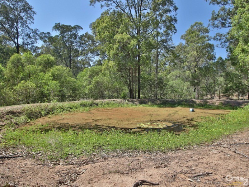 159-167 Leopardwood Road, Cedar Grove QLD 4285