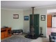 31 Flametree Court,, Cedar Grove QLD 4285