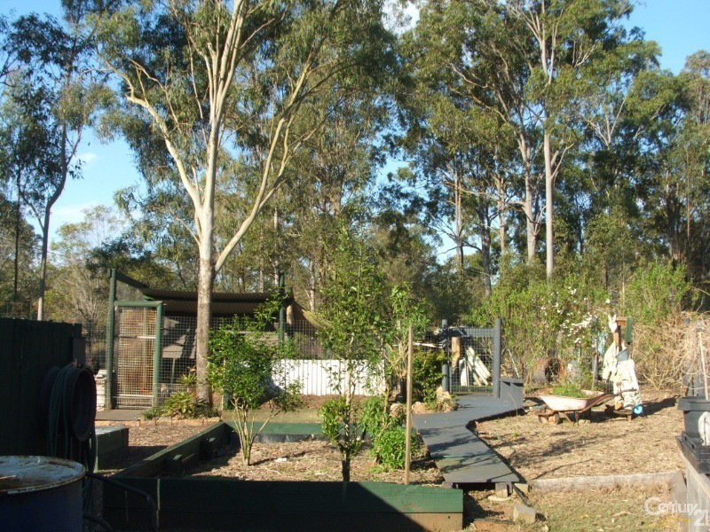 31 Flametree Court,, Cedar Grove QLD 4285