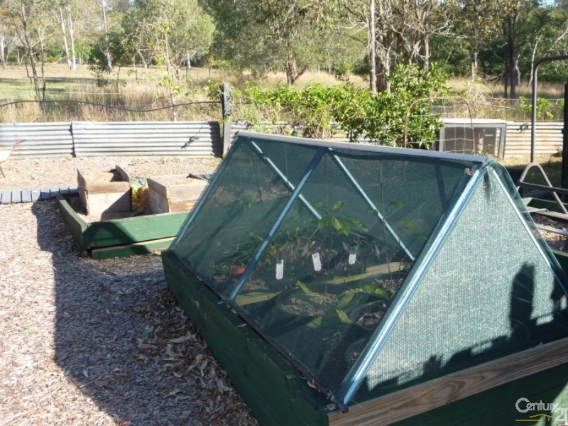 31 Flametree Court,, Cedar Grove QLD 4285