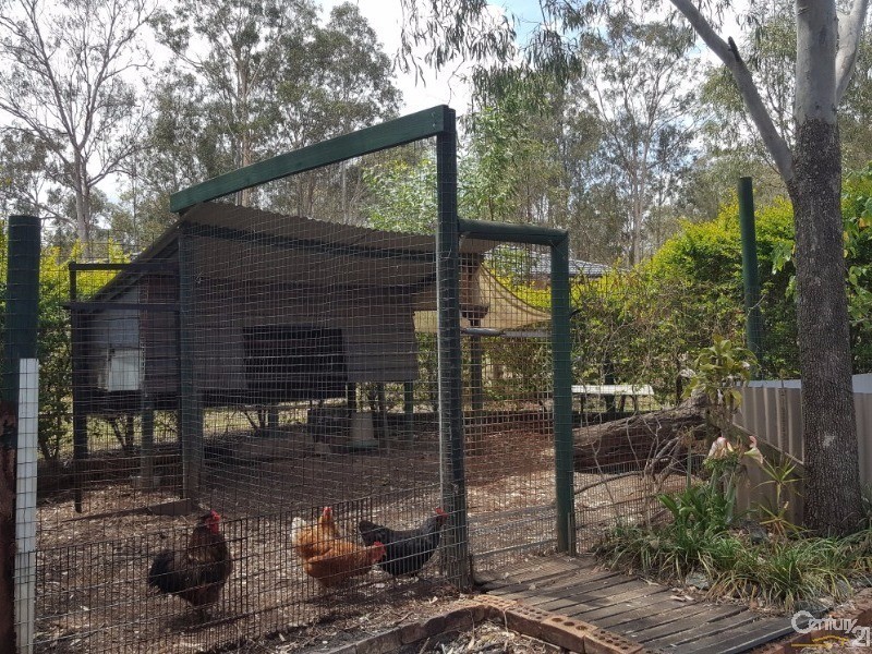 31 Flametree Court,, Cedar Grove QLD 4285