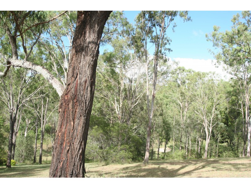 216 Routley Drive, Kooralbyn QLD 4285