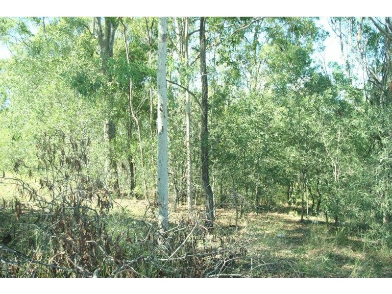 50-52 White Place, Kooralbyn QLD 4285