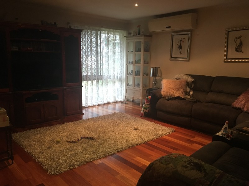 17 Green Ridge Road, Jimboomba QLD 4280