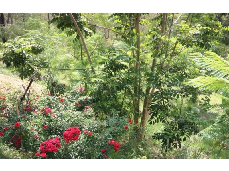 99-101 Campbell Drive, Kooralbyn QLD 4285