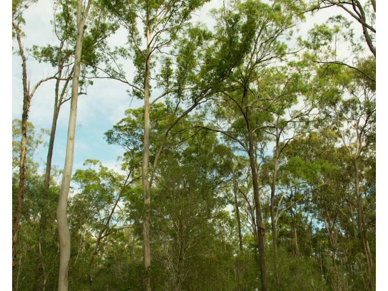 396-402 Miller Road, Logan Village QLD 4207