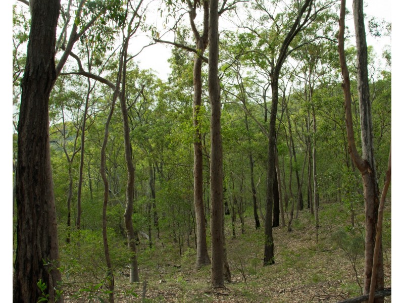 396-402 Miller Road, Logan Village QLD 4207