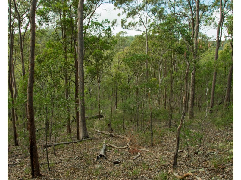 396-402 Miller Road, Logan Village QLD 4207