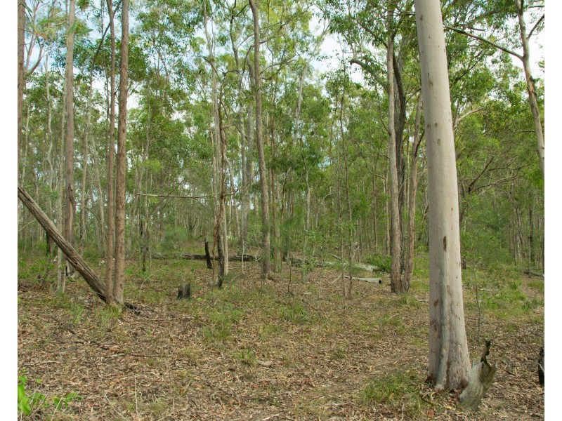 396-402 Miller Road, Logan Village QLD 4207