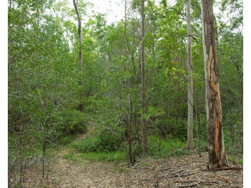 396-402 Miller Road, Logan Village QLD 4207